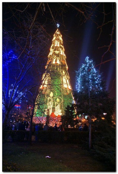 alexandru-dinu-serban_19