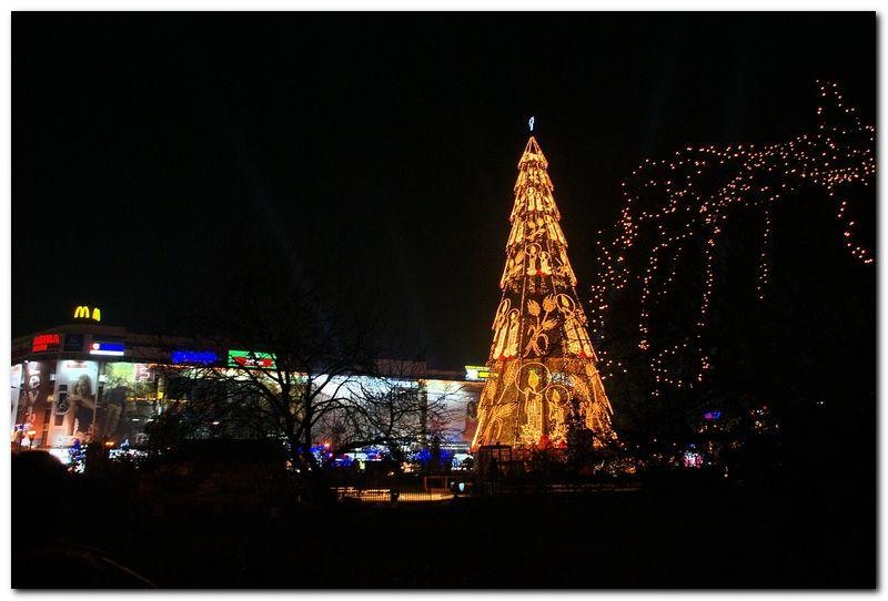 alexandru-dinu-serban_24