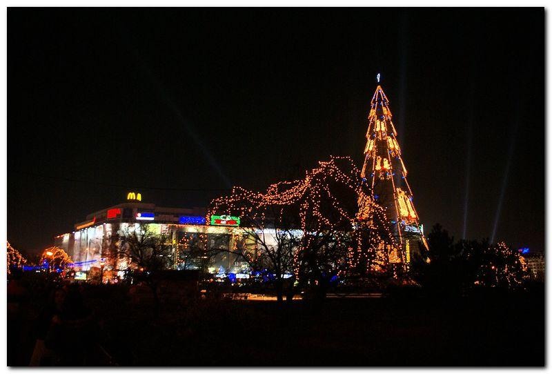 alexandru-dinu-serban_25