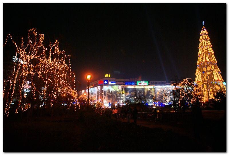 alexandru-dinu-serban_27