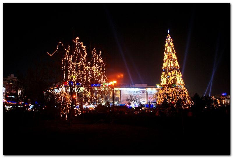 alexandru-dinu-serban_28