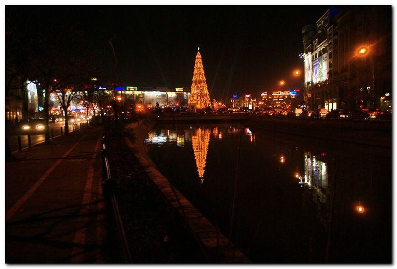 alexandru-dinu-serban_33