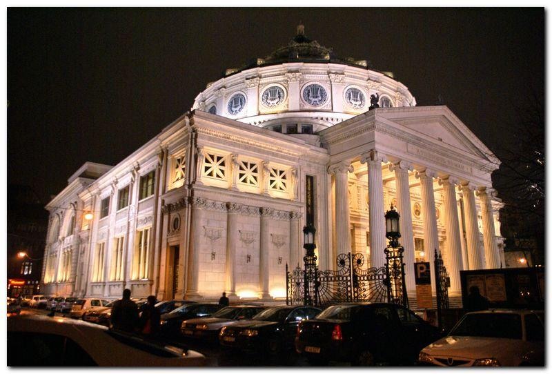 alexandru-dinu-serban_45