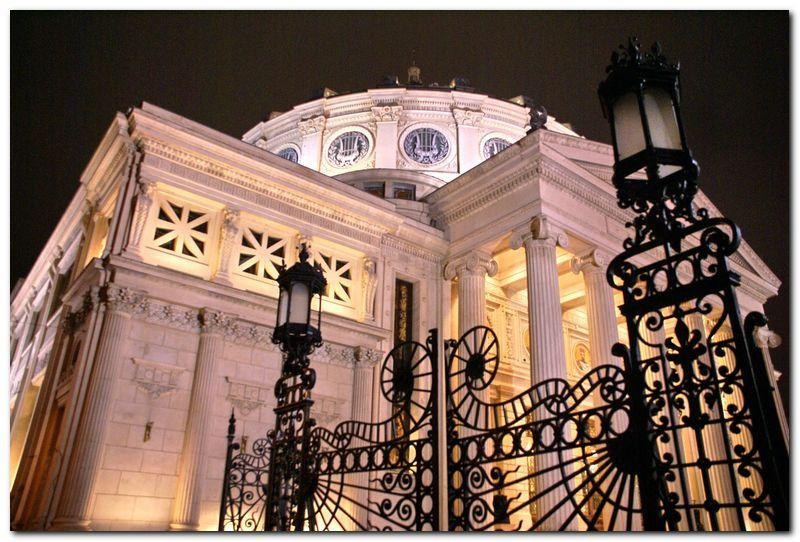 alexandru-dinu-serban_46