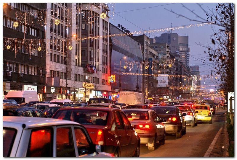 alexandru-dinu-serban_51