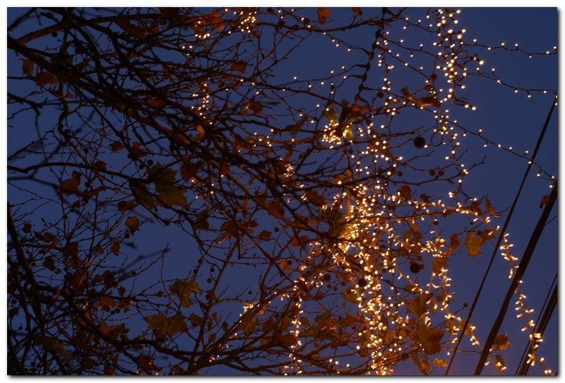 alexandru-dinu-serban_54