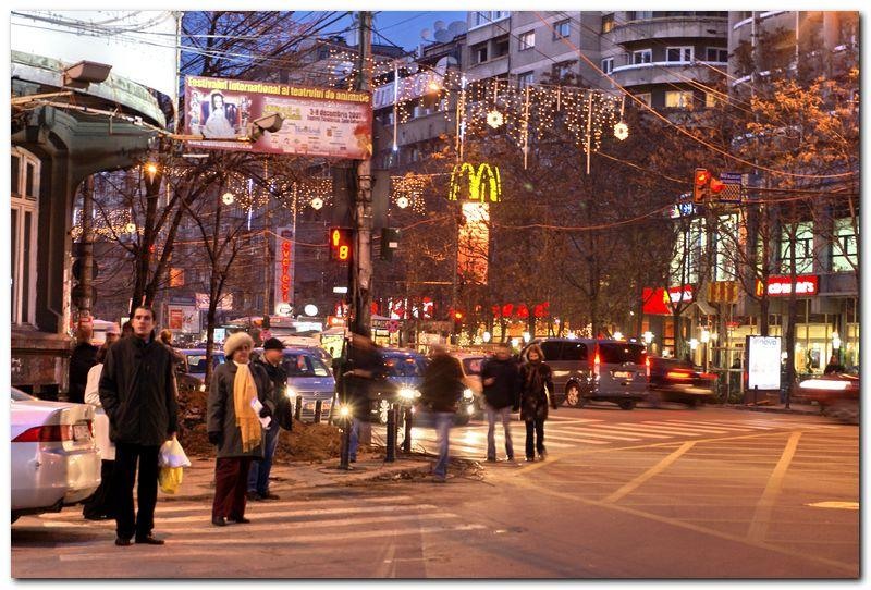 alexandru-dinu-serban_55