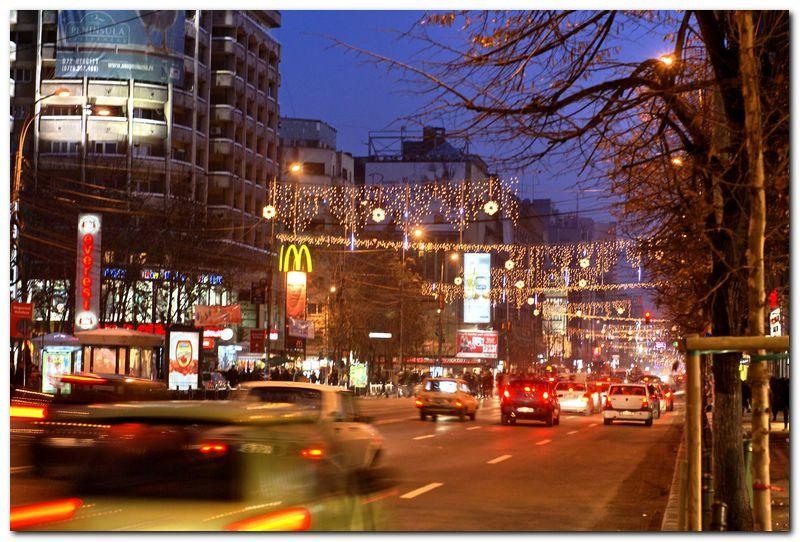 alexandru-dinu-serban_57