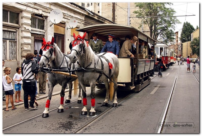 alex-dinu-serban-de-ziua-bucurestilor