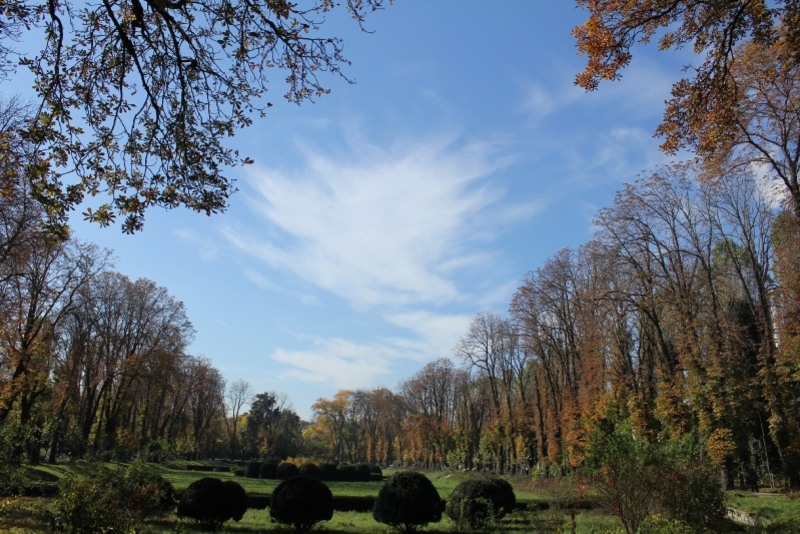 daniela-bitanoiu-gradina-botanica