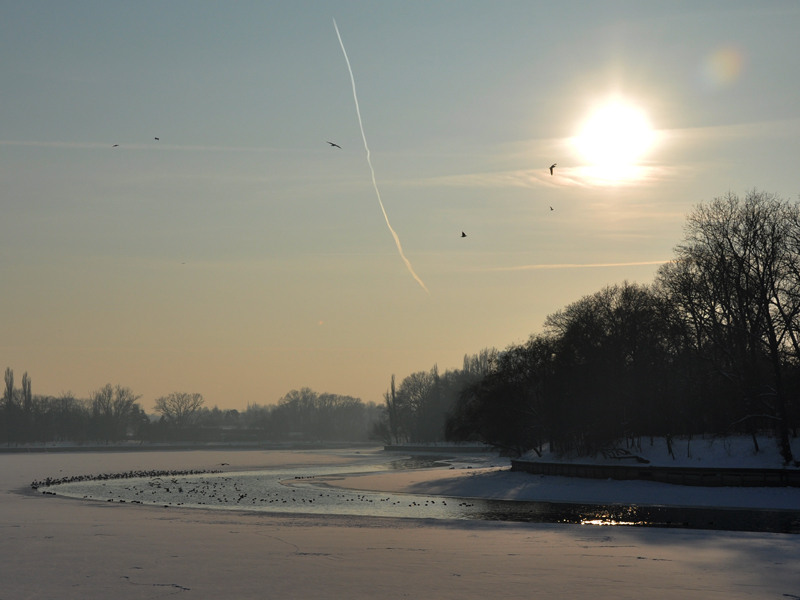 dragos-oproiu-peisaj-de-iarna