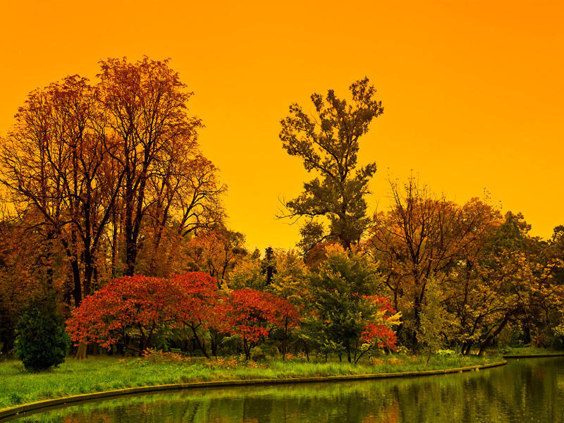 viorel-ion_culorile-cismigiului