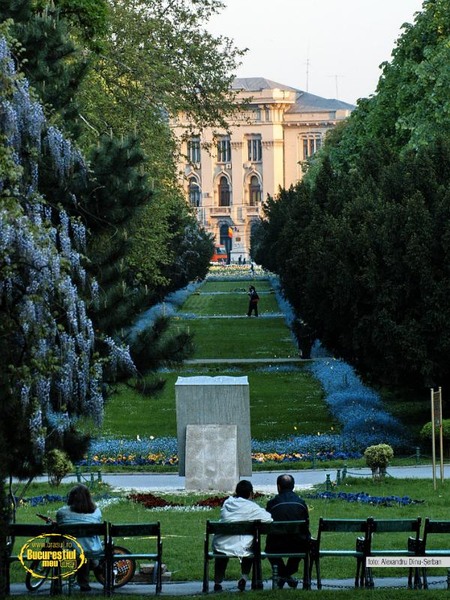 alexandru-dinu-serban_03