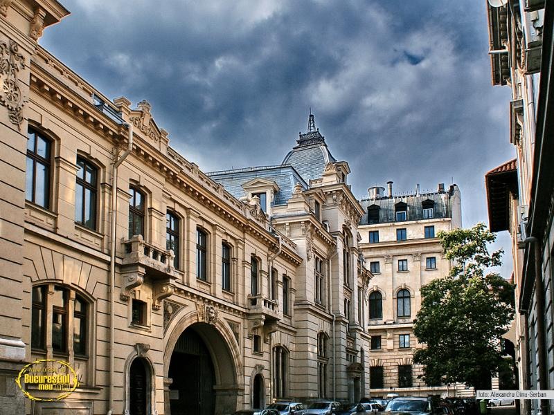 alexandru-dinu-serban_05