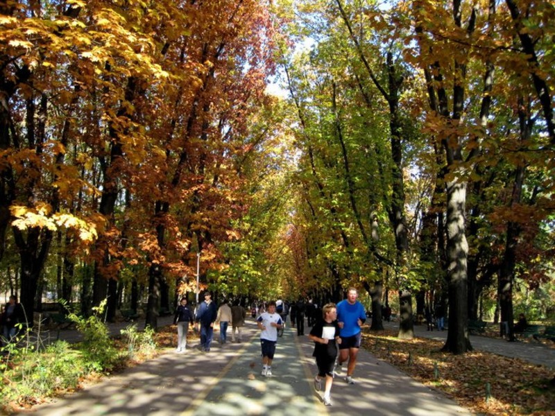 72248_1614130043950_1557272378_1470095_5928904_n