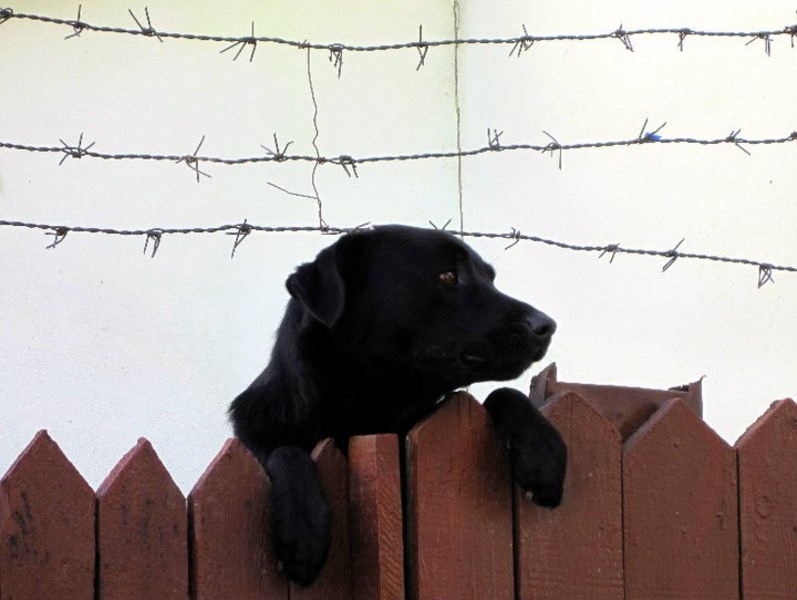 73455_1614114003549_1557272378_1469994_3639349_n