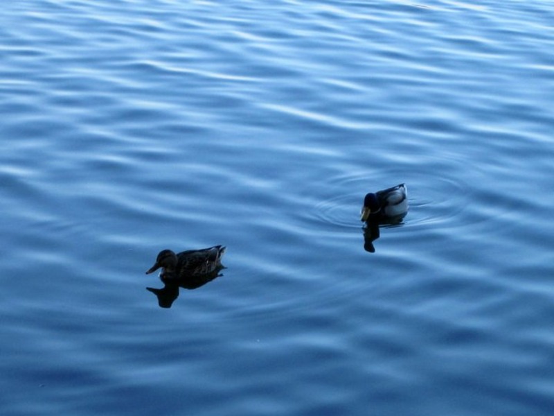 76835_1614131803994_1557272378_1470105_4536874_n