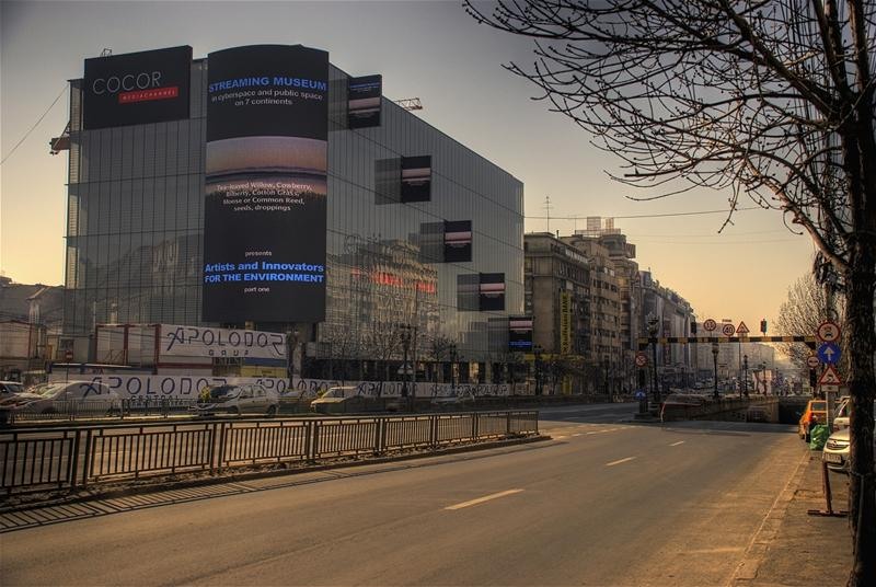 cocor_adrian-anechitoaie_n