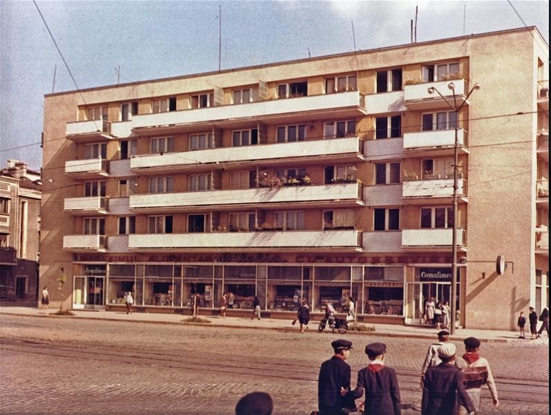 mag-bitolia-patricia-tanasescu-v