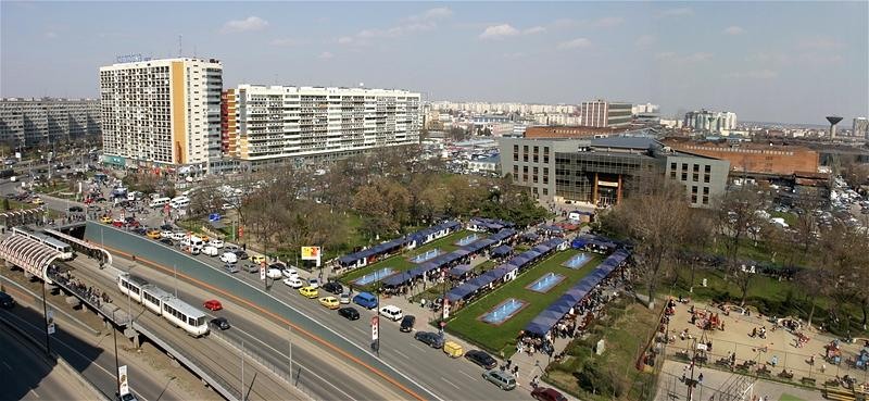 obor_dorin_vasilescu_n