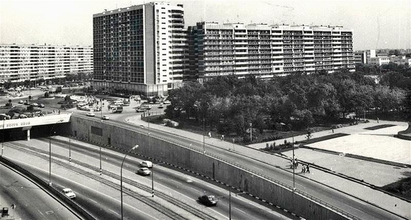 obor_dorin_vasilescu_v