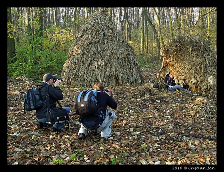 cci-pustnicu2010_portret1