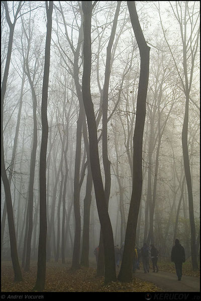 kerucov_andrei_vocurek_padurea_pustnicu_01