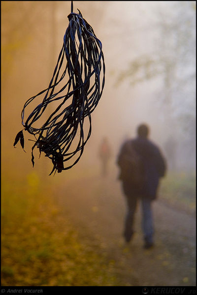 kerucov_andrei_vocurek_padurea_pustnicu_02