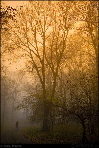 kerucov_andrei_vocurek_padurea_pustnicu_03