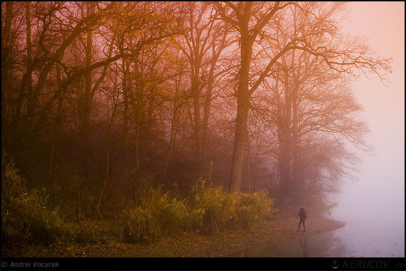 kerucov_andrei_vocurek_padurea_pustnicu_05