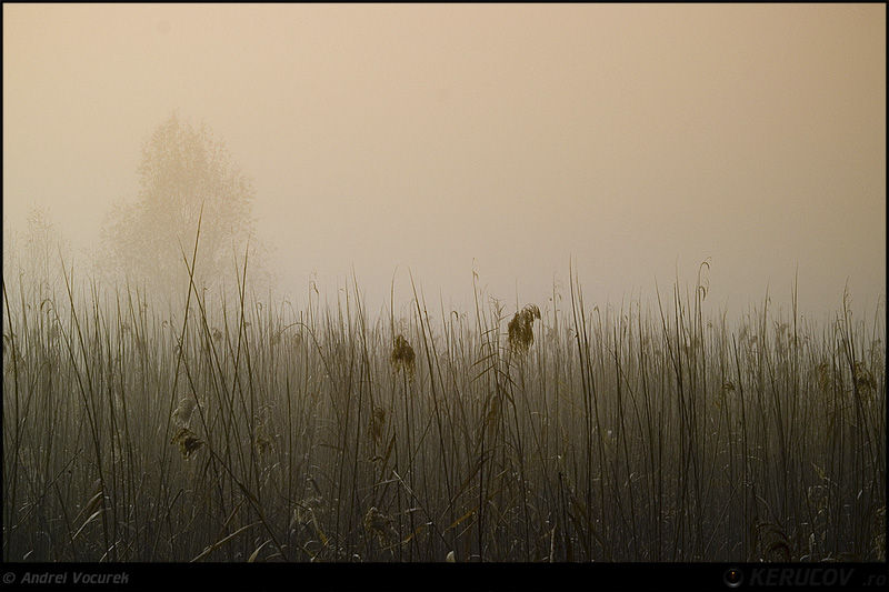 kerucov_andrei_vocurek_padurea_pustnicu_06