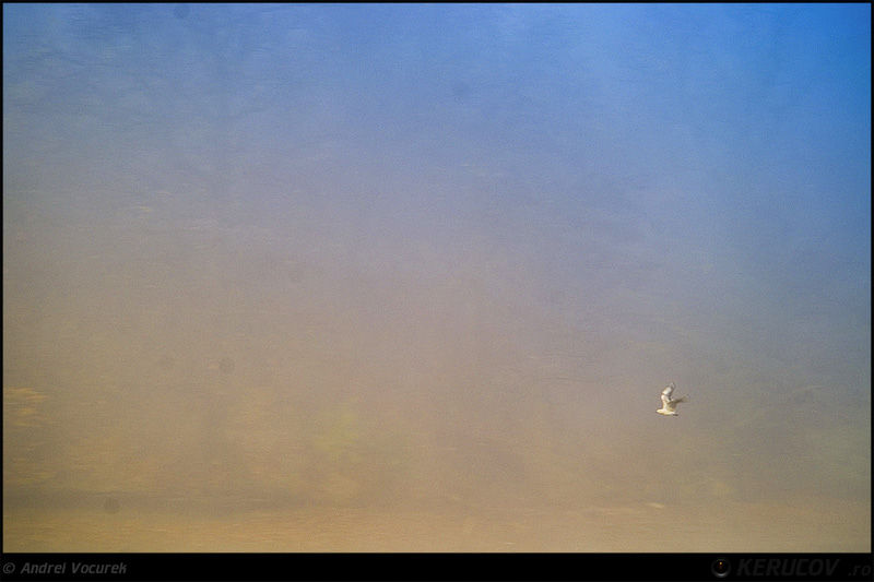 kerucov_andrei_vocurek_padurea_pustnicu_07