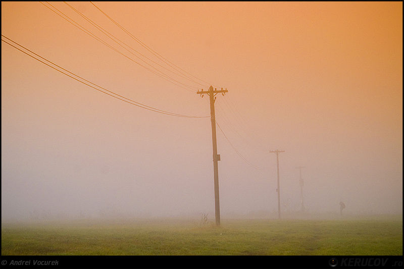 kerucov_andrei_vocurek_padurea_pustnicu_11