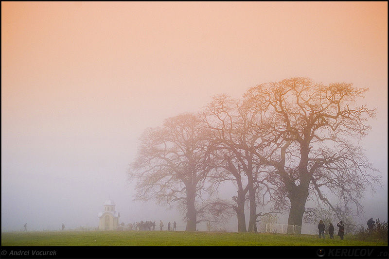 kerucov_andrei_vocurek_padurea_pustnicu_12