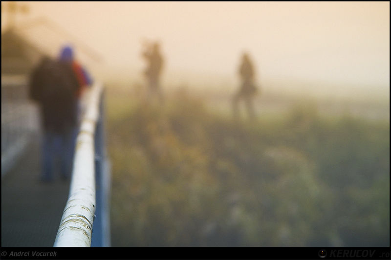 kerucov_andrei_vocurek_padurea_pustnicu_14