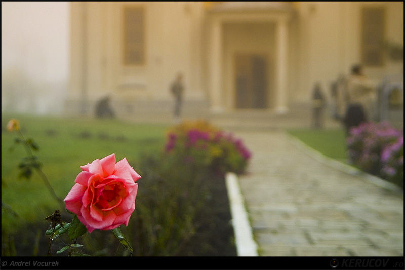 kerucov_andrei_vocurek_padurea_pustnicu_17