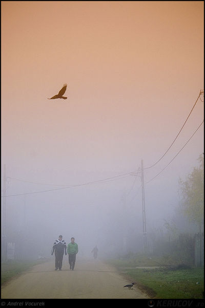 kerucov_andrei_vocurek_padurea_pustnicu_18