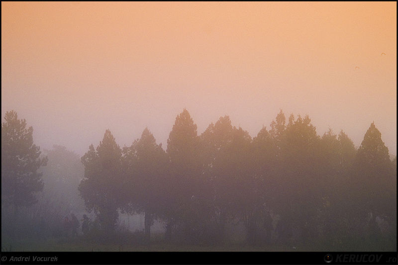 kerucov_andrei_vocurek_padurea_pustnicu_19