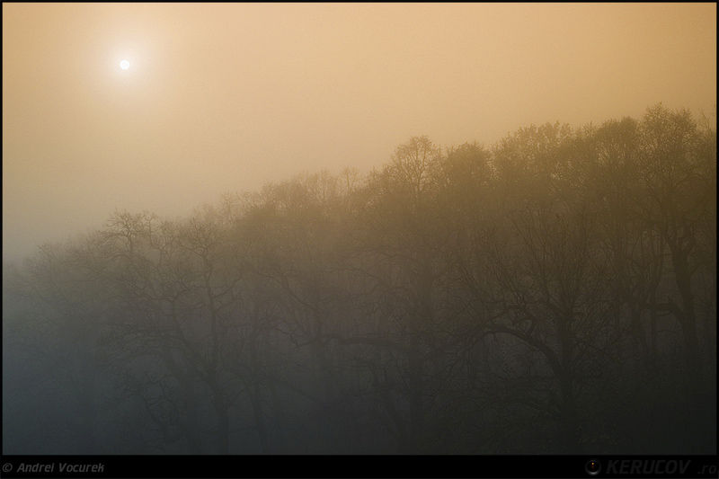 kerucov_andrei_vocurek_padurea_pustnicu_22