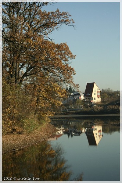 oglinda-oglinjoara-cine