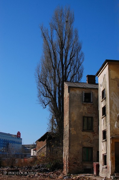 Hotel Buzesti 2010