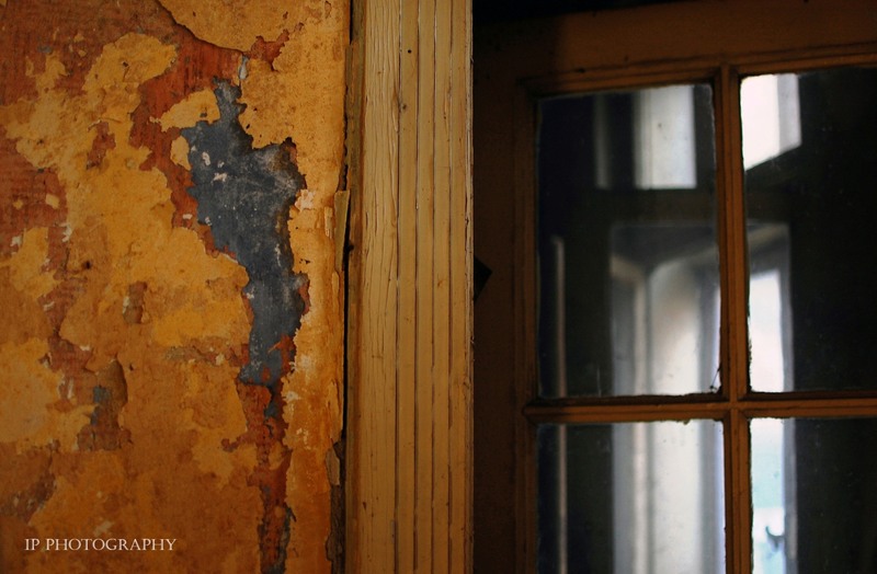 culoarea Buzestiului de altadata