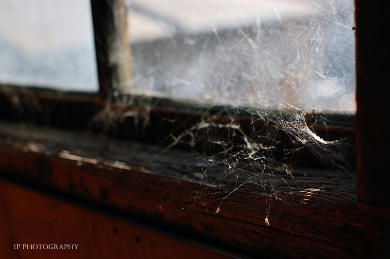 parasirea s-a asternut...