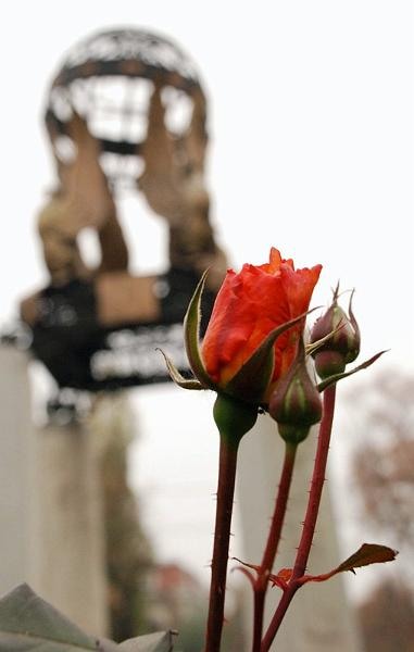 20081115_cristind_01