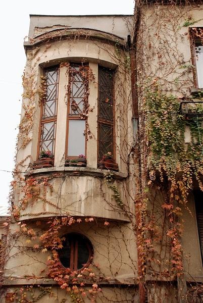 20081115_cristind_04