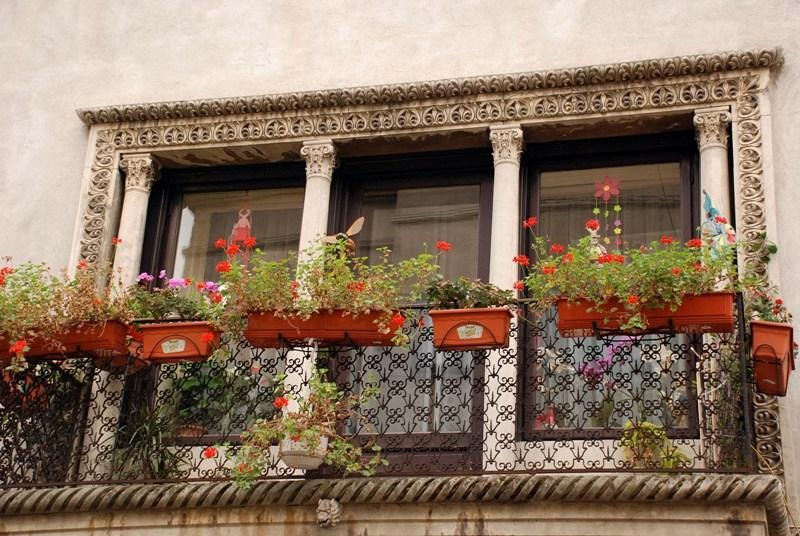 20081115_cristind_06