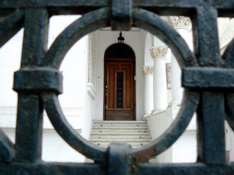 20081115_cristinad_01