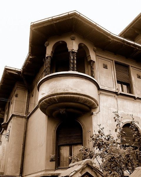 20081115_cristinad_09