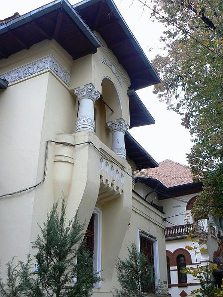 20081115_cristinad_10