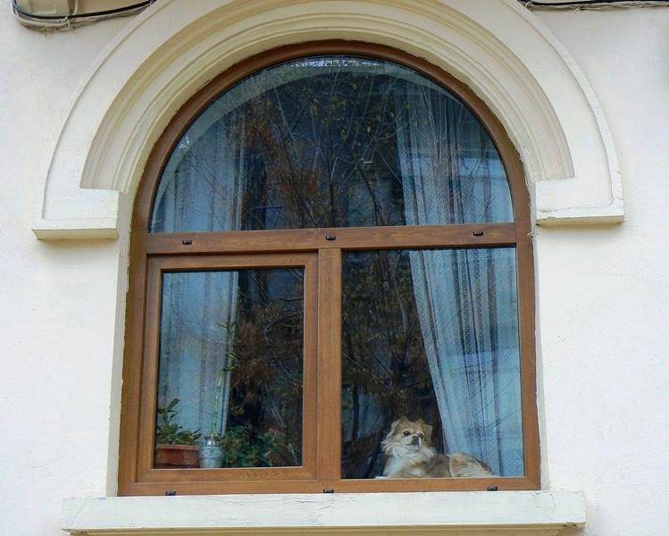 20081115_cristinad_11